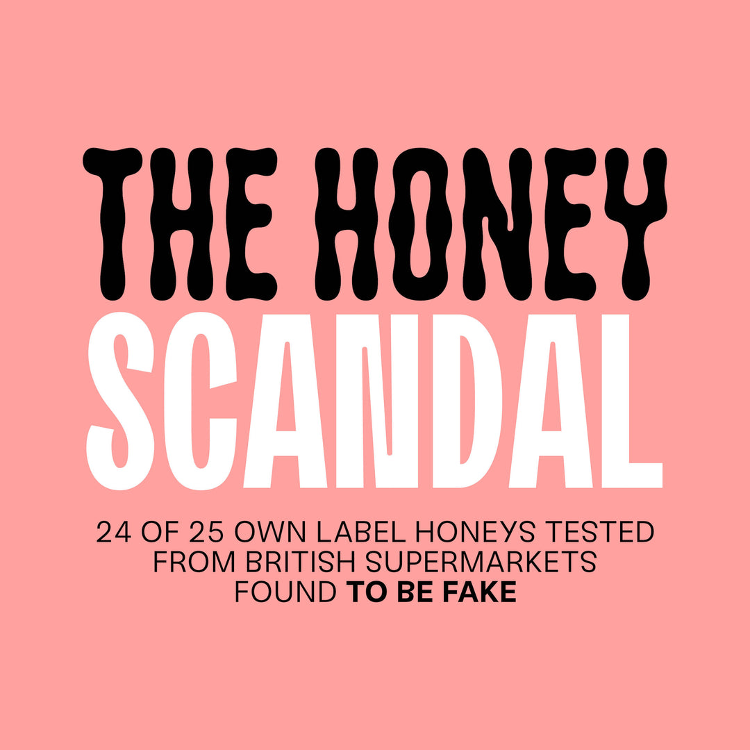 The Honey Scandal